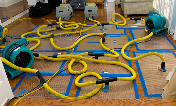 Professional Sewage Cleanup technician working in Pisgah, AL